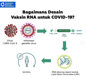 desain vaksin RNA