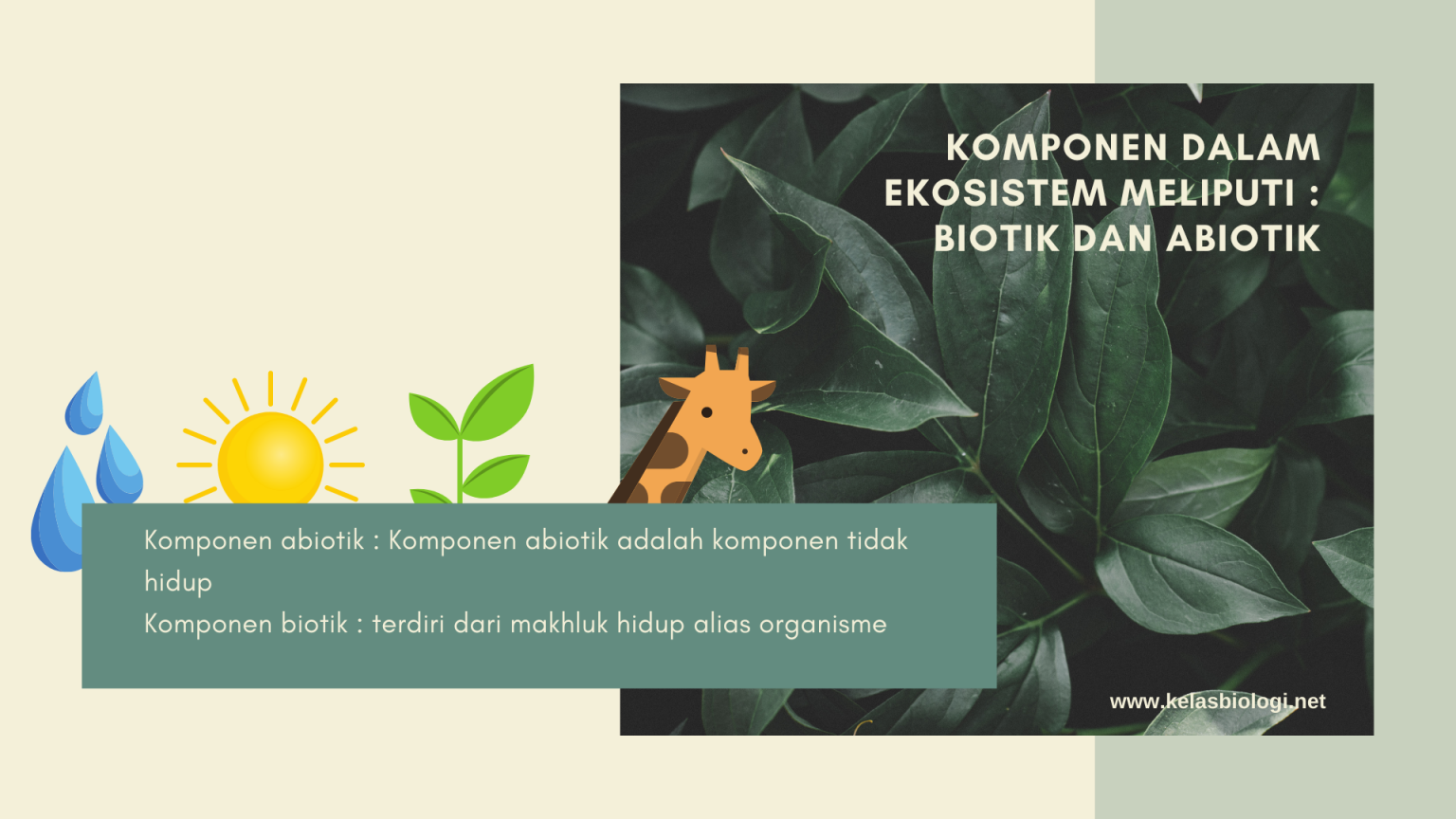 Pengertian Ekosistem Dan Komponen Penyusunnya - Kelas Biologi