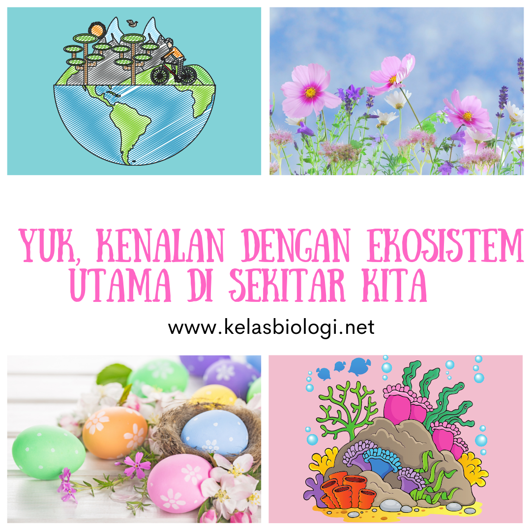 Yuk, Kenalan Dengan Ekosistem Utama Di Sekitar Kita