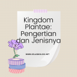 Kingdom Plantae : Pengertian dan Jenisnya - Kelas Biologi