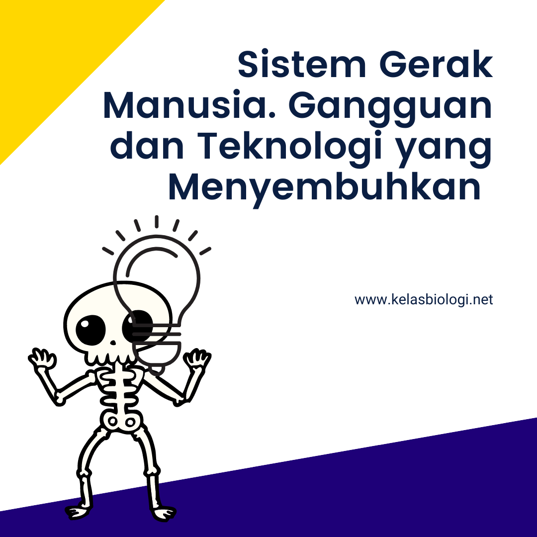Sistem Gerak Manusia. Gangguan dan Teknologi yang Menyembuhkan