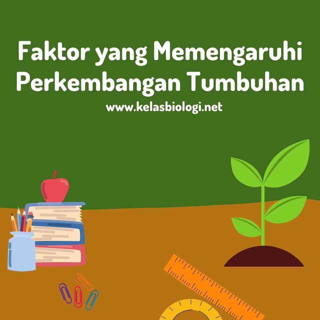 Faktor yang Memengaruhi Perkembangan Tumbuhan